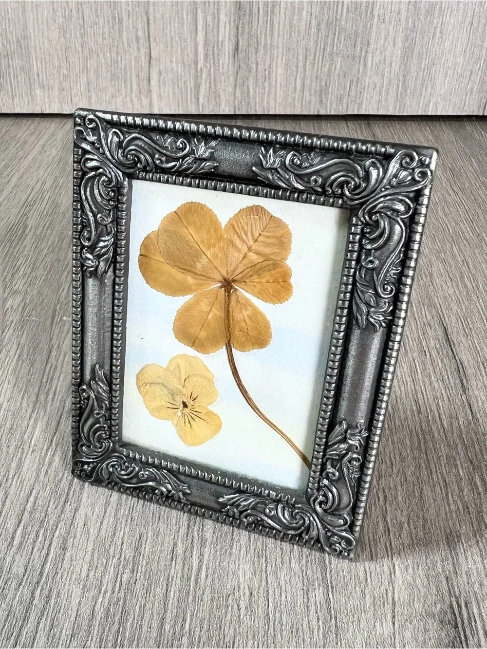 small ornate silver-finish picture frame displaying a real pressed 4 leaf clover